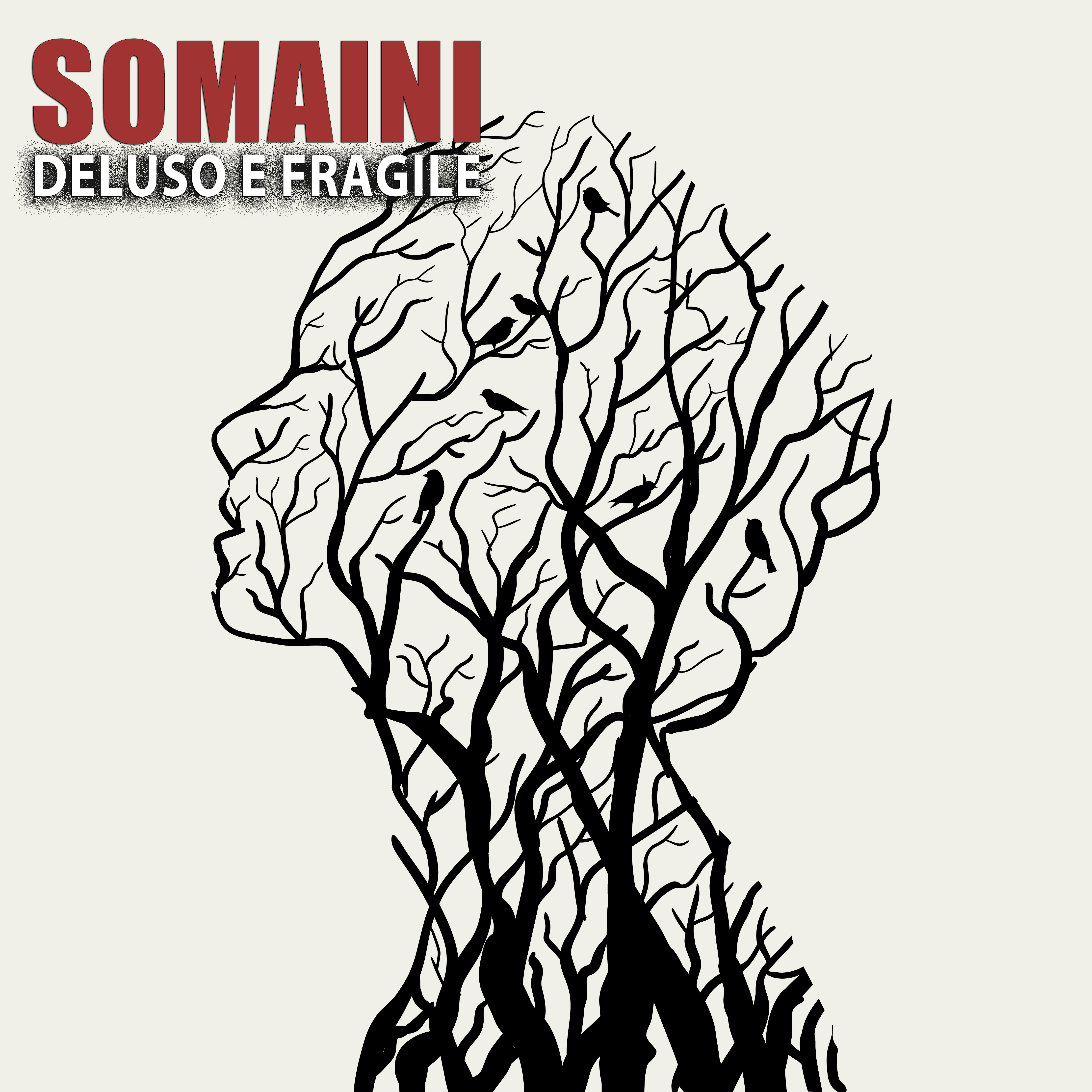 Singolo Deluso e fragile